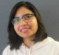 The Family Formation Dynamics of Indian Migrant Families: Continuity or Change