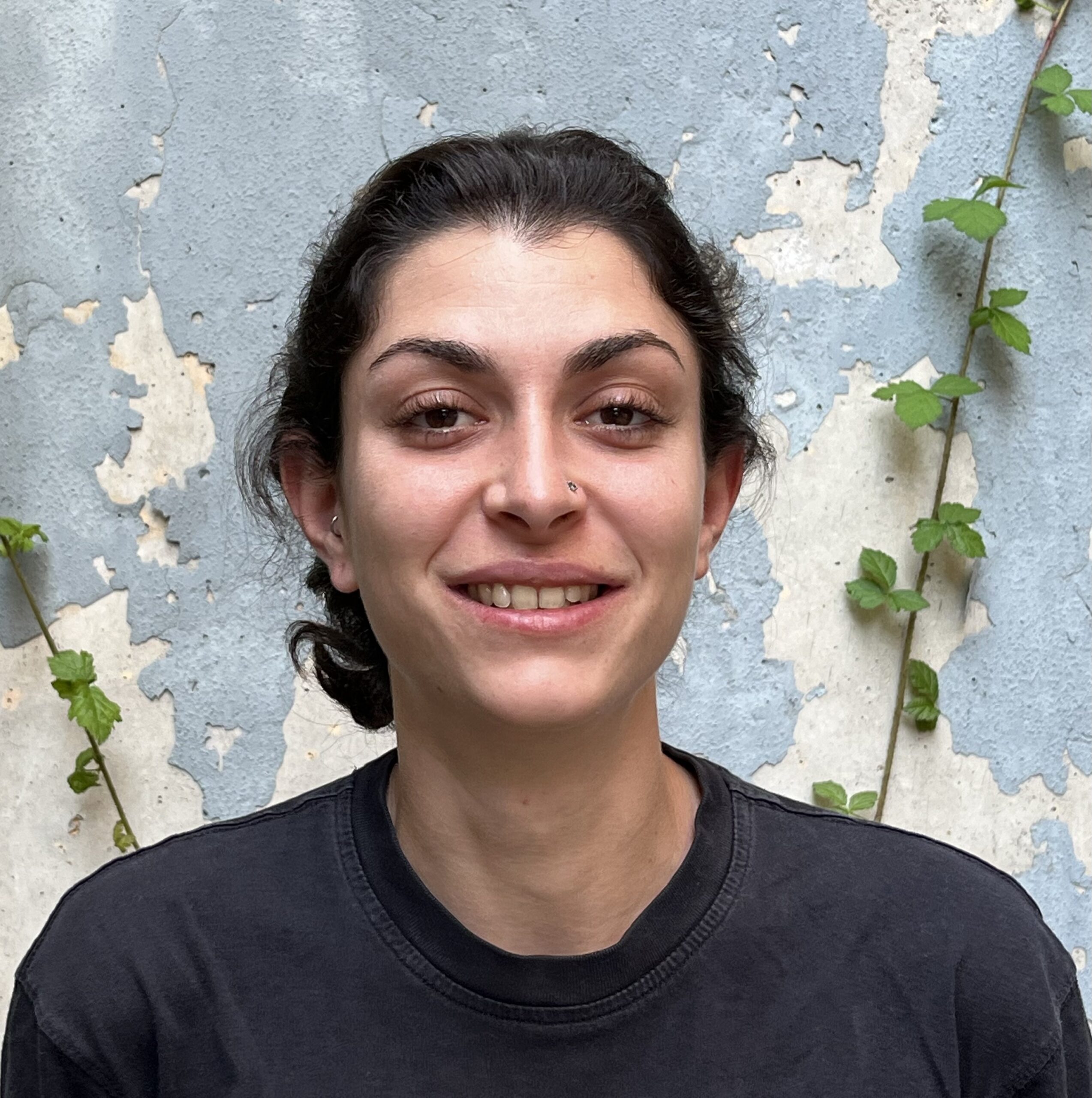 Anna Montfort Chipell